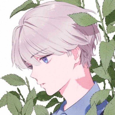 高三男孩喀纳斯湖失踪系谣言